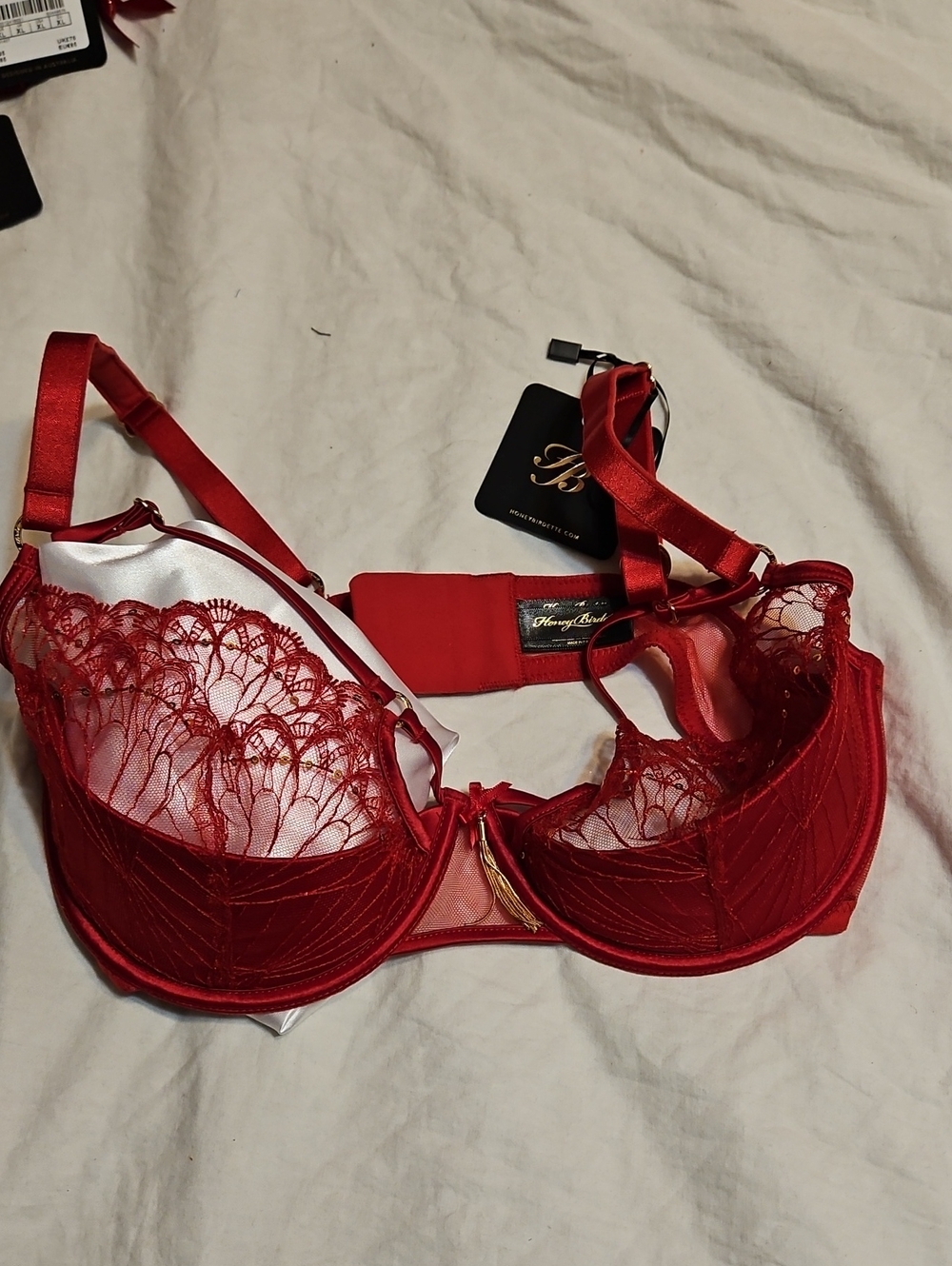 Honey Birdette Gloria - Scarlet Red Lace Underwire Padded Bra 36DD / E